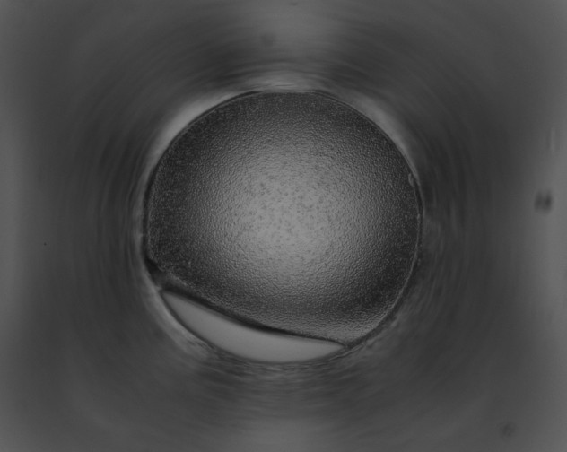 X0000091491195200708301929