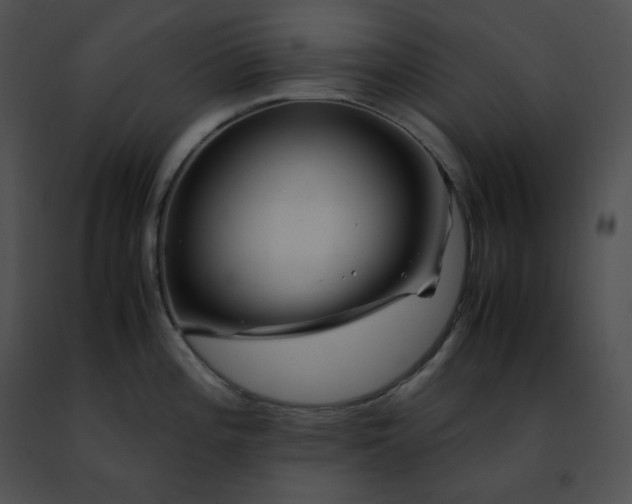 X0000091491196200708301929