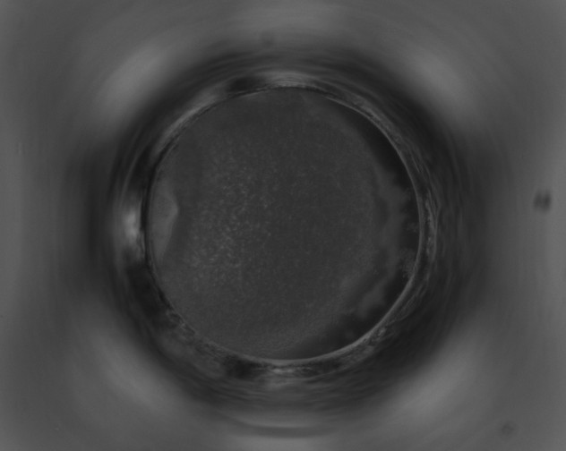 X0000091491198200708301929