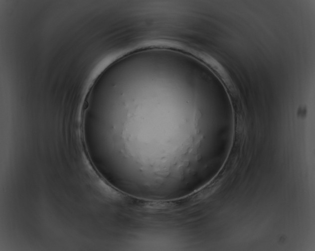 X0000091491199200708301929