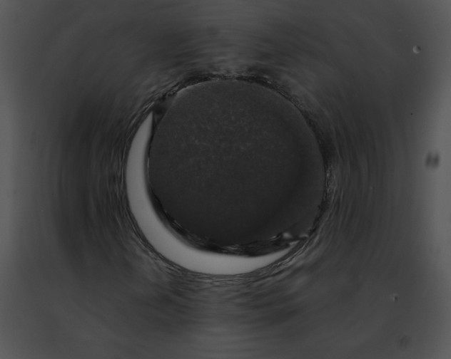 X0000091491202200708301929