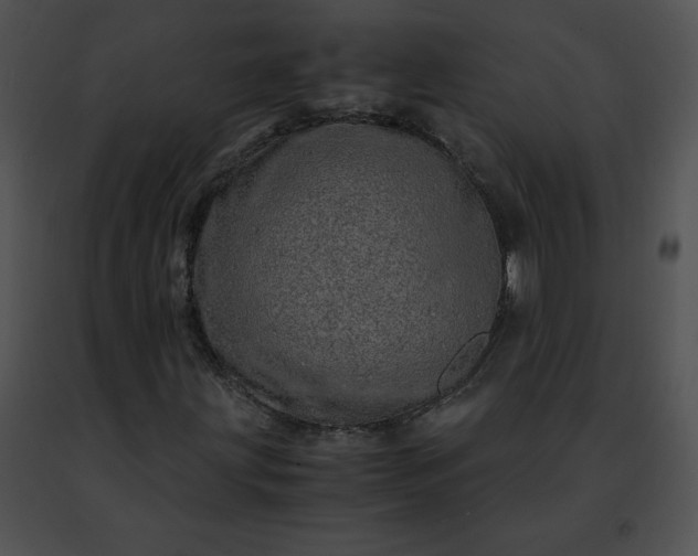 X0000091491203200708301929