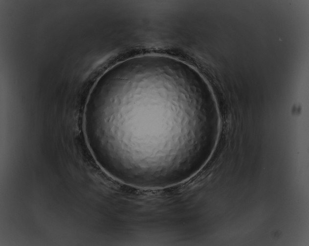 X0000091491205200708301929