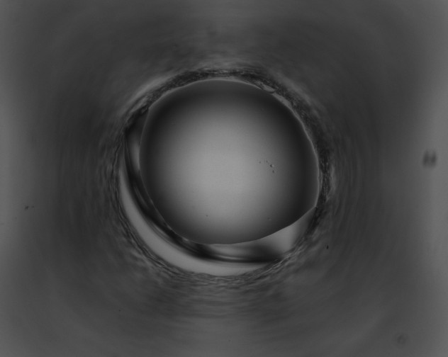 X0000091491206200708301929