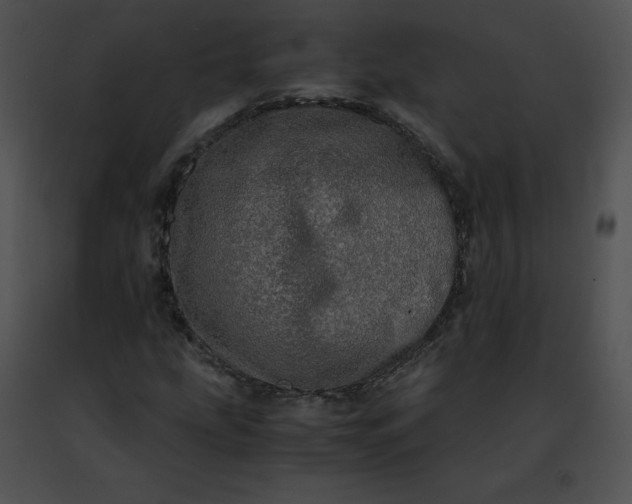 X0000091491207200708301929