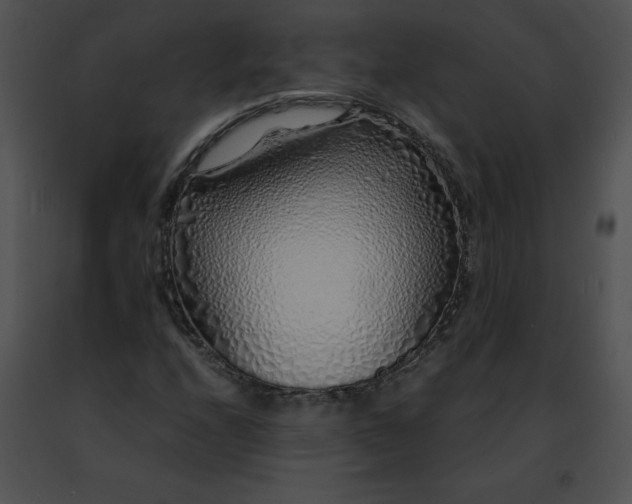 X0000091491208200708301929