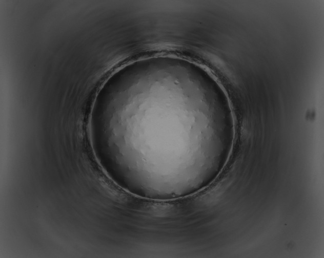 X0000091491209200708301929