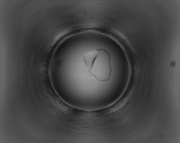 X0000091491210200708301929