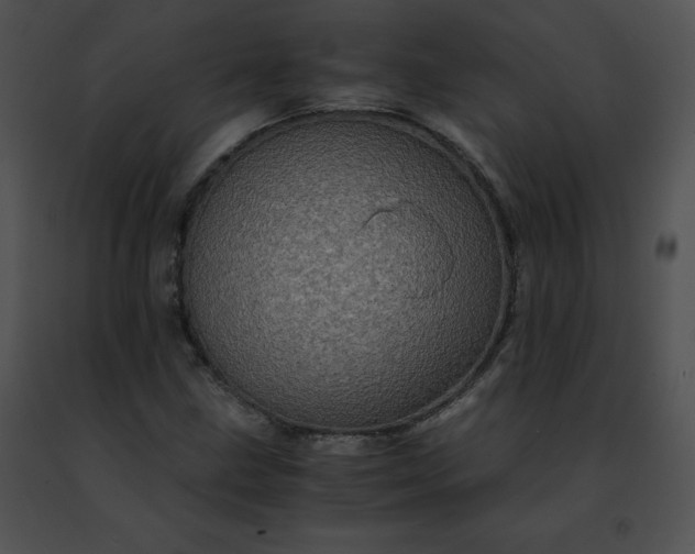 X0000091491211200708301929