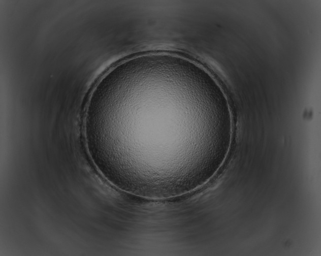 X0000091491212200708301929