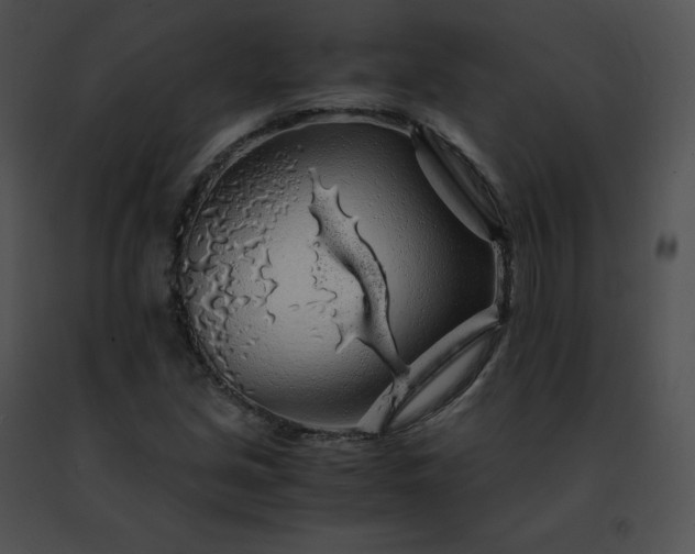 X0000091491213200708301929