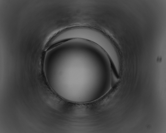 X0000091491214200708301929