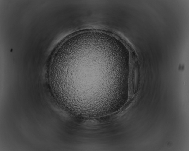 X0000091491215200708301929