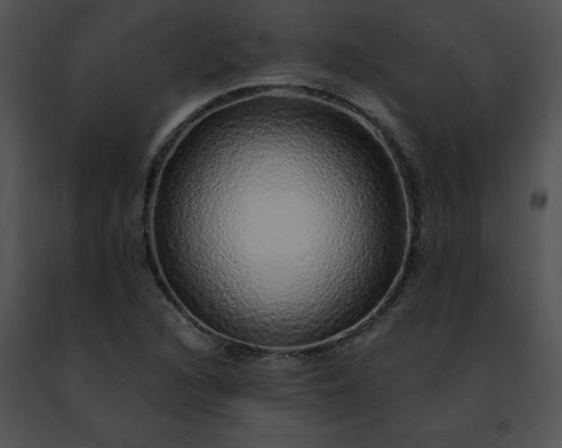 X0000091491216200708301929