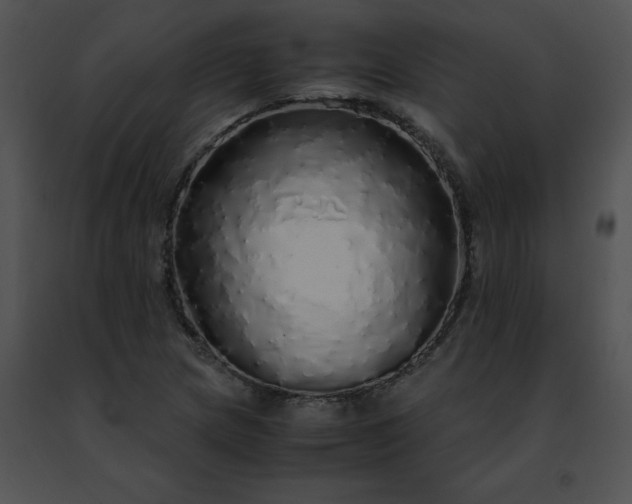 X0000091491217200708301929