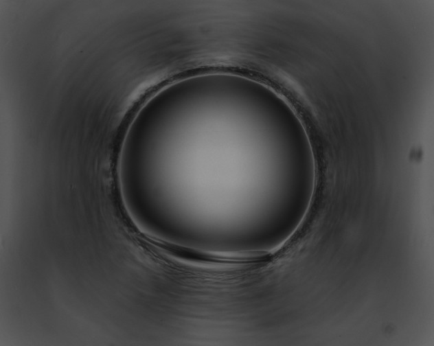 X0000091491218200708301929