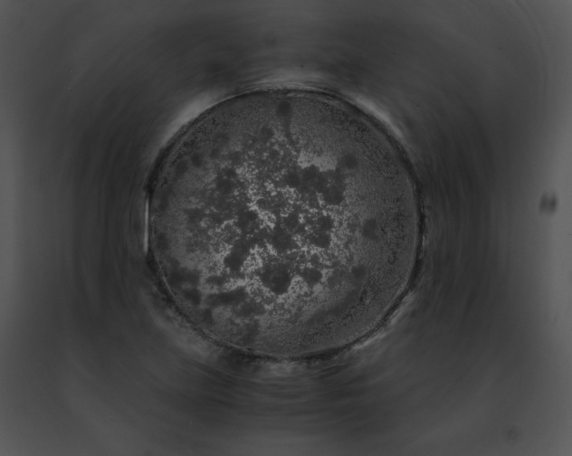 X0000091491219200708301929