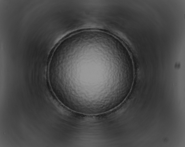 X0000091491220200708301929