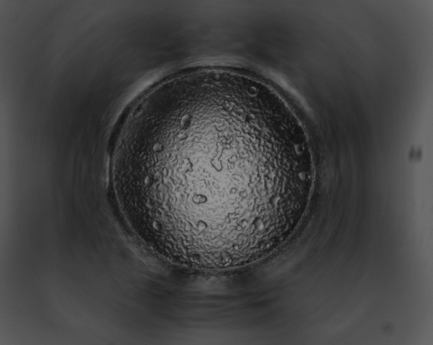 X0000091491221200708301929