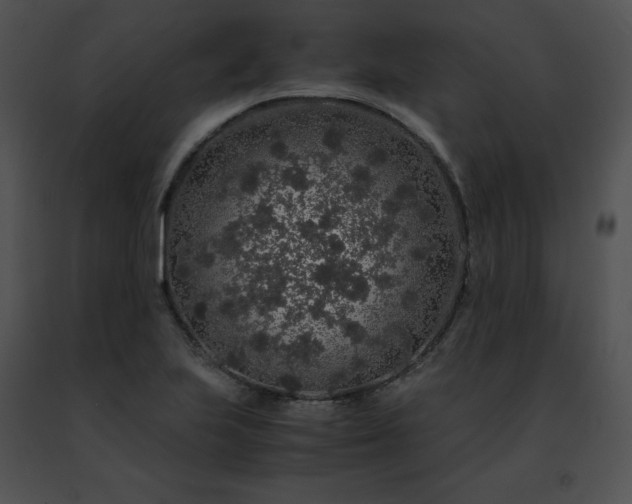 X0000091491223200708301929