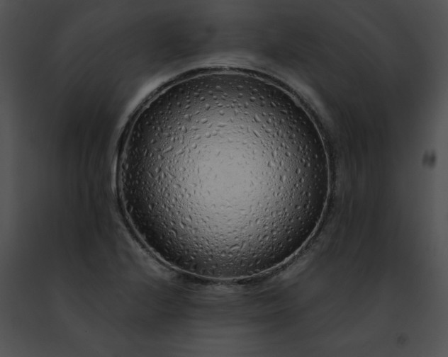 X0000091491224200708301929