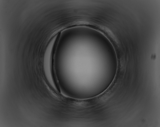 X0000091491225200708301929