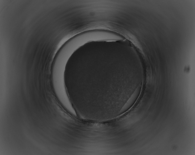 X0000091491226200708301929