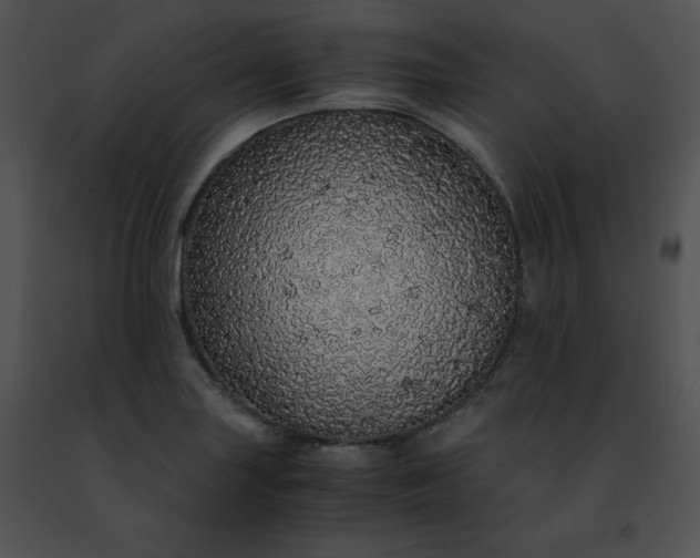 X0000091491227200708301929