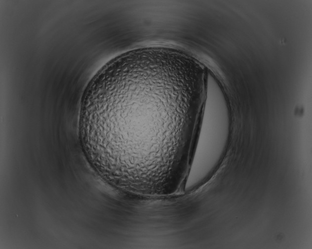 X0000091491228200708301929