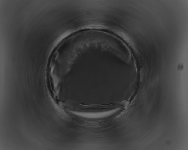 X0000091491229200708301929