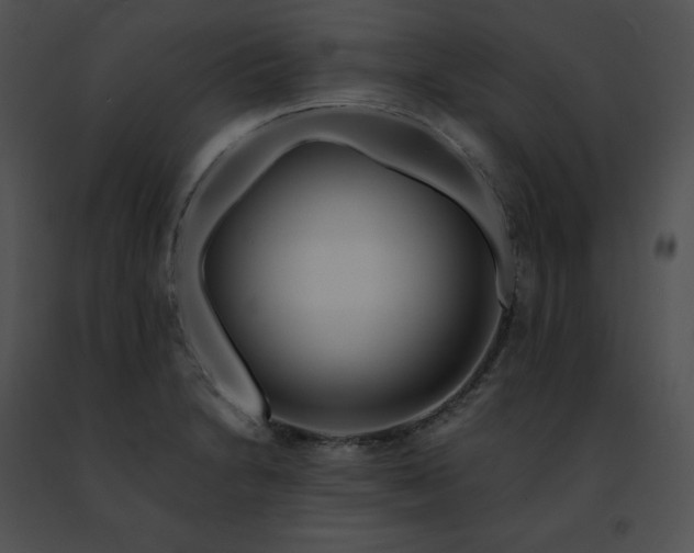 X0000091491230200708301929