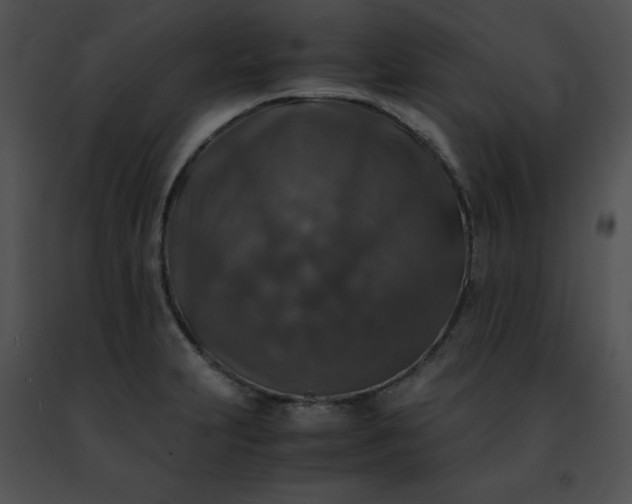 X0000091491231200708301929