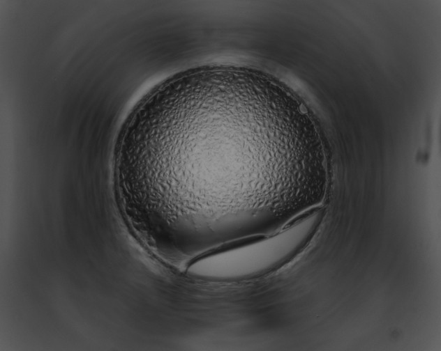 X0000091491232200708301929