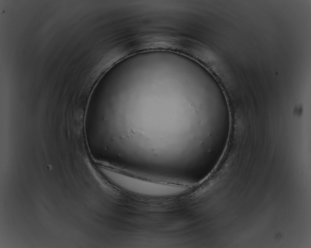 X0000091491233200708301929