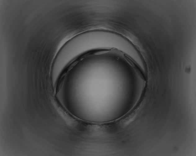 X0000091491234200708301929