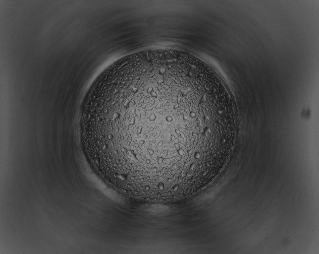 X0000091491235200708301929