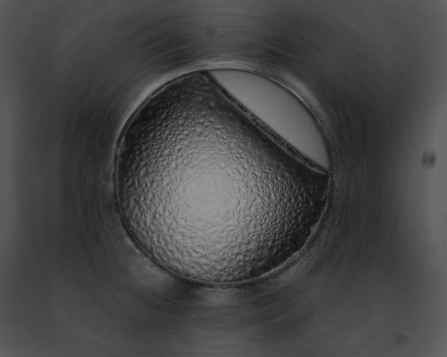 X0000091491236200708301929