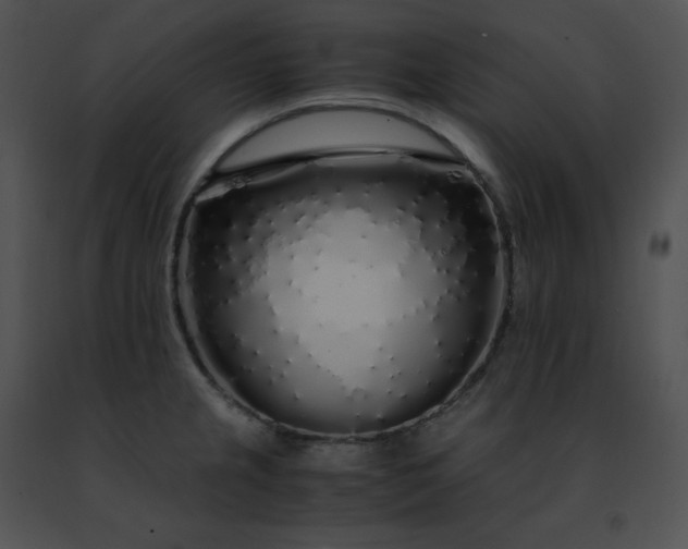 X0000091491237200708301929