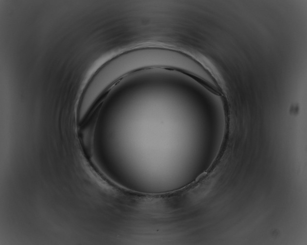 X0000091491238200708301929