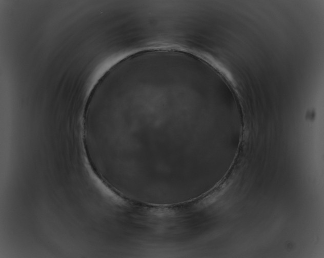 X0000091491239200708301929