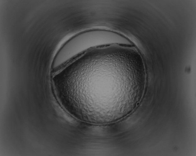 X0000091491240200708301929