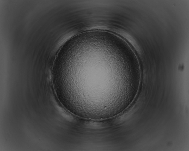 X0000091491241200708301929