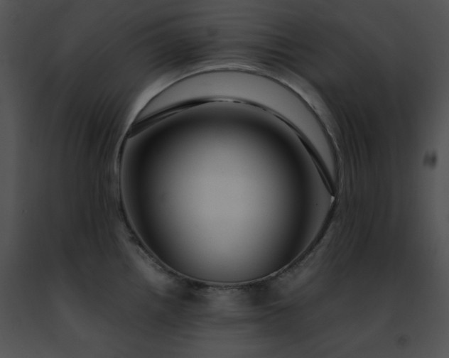 X0000091491242200708301929