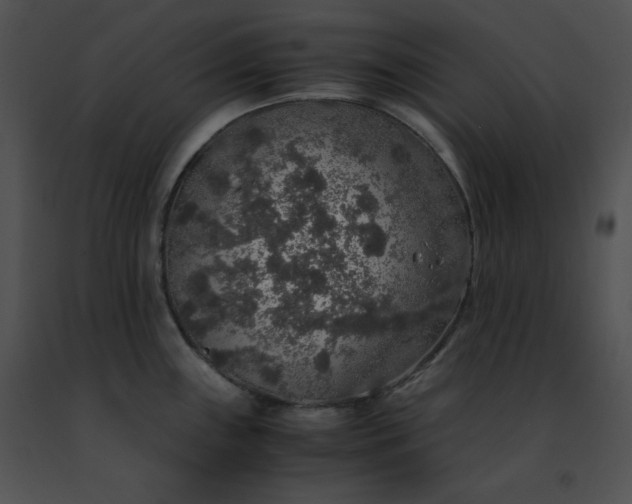 X0000091491243200708301929