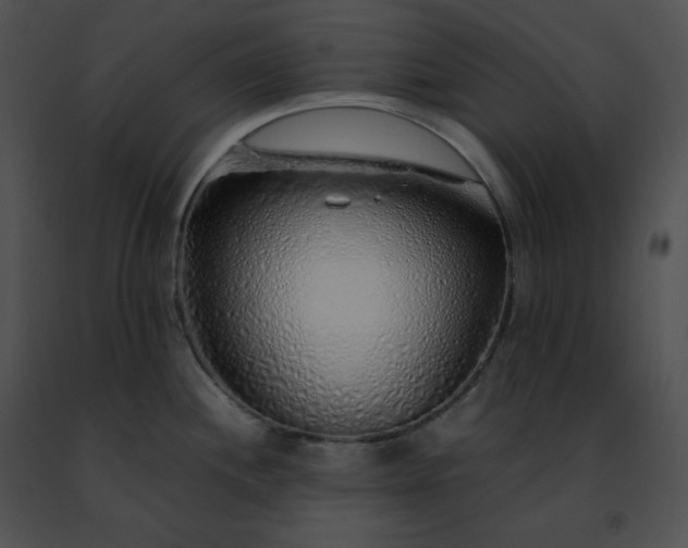 X0000091491244200708301929