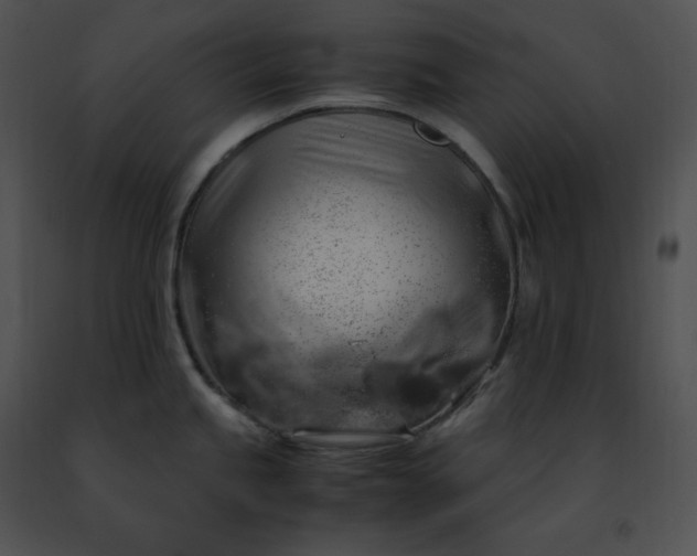 X0000091491245200708301929