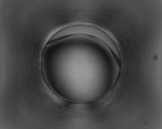 X0000091491246200708301929