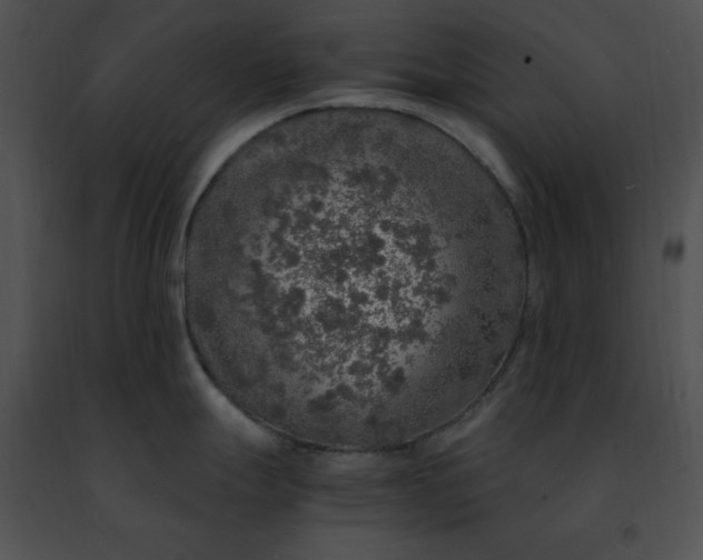 X0000091491247200708301929