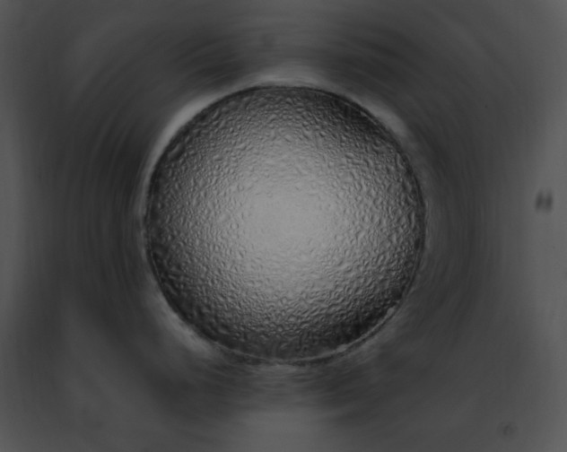 X0000091491248200708301929