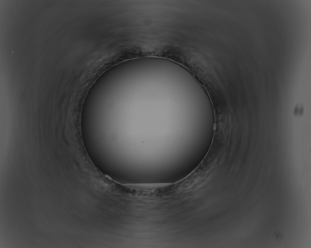 X0000091491249200708301928